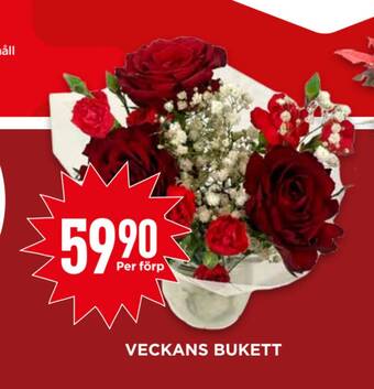 Willys Veckans bukett erbjuda