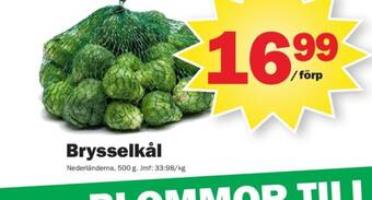 Pekås Sun brysselkål erbjuda