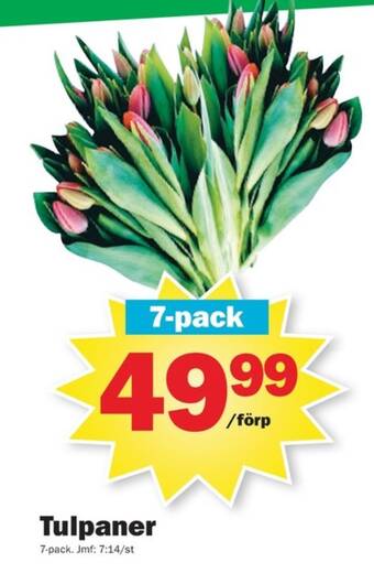 Pekås Sun blommor erbjuda