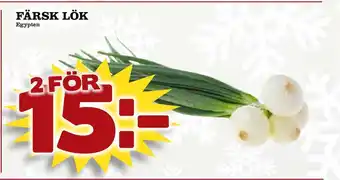 Färsk lök