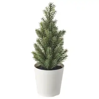 IKEA Vinterfint konstgjord krukväxt med kruka, inom-/utomhus/julgran grön, 6 cm erbjuda