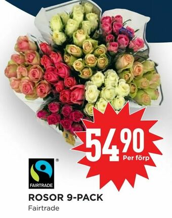 Willys Hemma Rosor 9-pack erbjuda