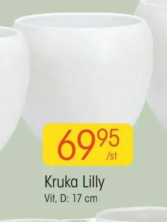 EKO Kruka Lilly erbjuda