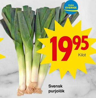 Matöppet Svensk purjolök erbjuda