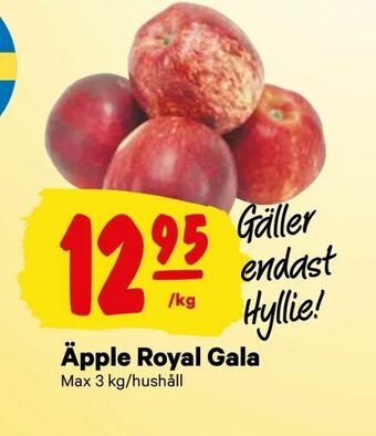 City Gross Äpple Royal Gala erbjuda