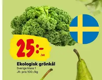 City Gross Ekologisk grönkål erbjuda