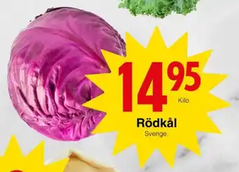 Matöppet Rödkål erbjuda