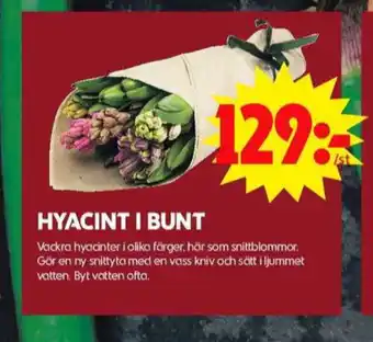 ICA Maxi Blomsterboda blommor erbjuda