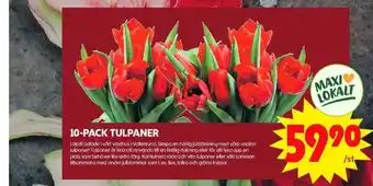 ICA Maxi Blomsterboda blommor erbjuda