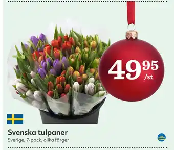 Hemköp Svenska tulpaner erbjuda