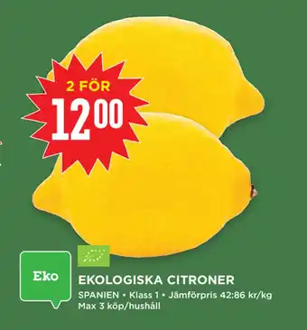 Willys Ekologiska citroner erbjuda