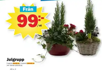 Pekås Coop krukväxt erbjuda