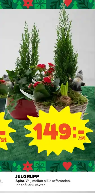 Coop Daglivs Julgrupp erbjuda