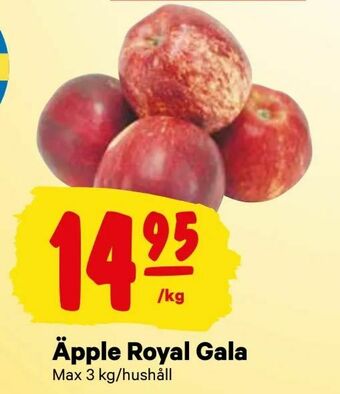City Gross Äpple Royal Gala erbjuda