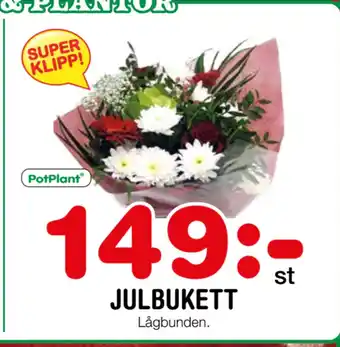 Nya Pulsen Julbukett erbjuda