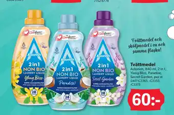 DollarStore Tvättmedel erbjuda