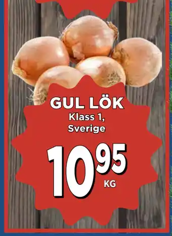 Supergrossen Gul lök erbjuda
