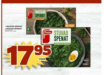 Din Mat hackad spenat • stuvad spenat erbjuda