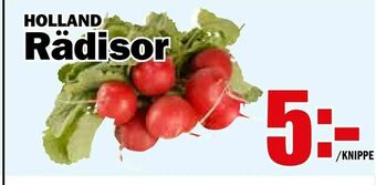 Matdax Rädisor erbjuda