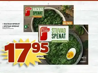 Matvärlden Tensta Hackad spenat • stuvad spenat erbjuda