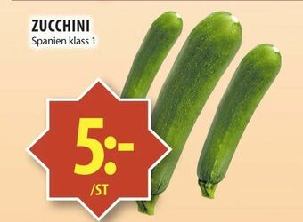 Zucchini