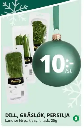 Tempo DILL, GRÄSLÖK, PERSILJA erbjuda