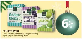 Tempo FRUKTDRYCK erbjuda