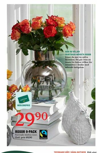 Blomsterlandet Rosor 9-pack erbjuda