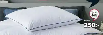 JYSK Kudde erbjuda