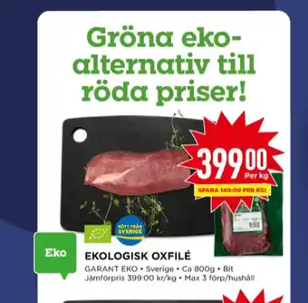 Willys Garant oxfilé erbjuda