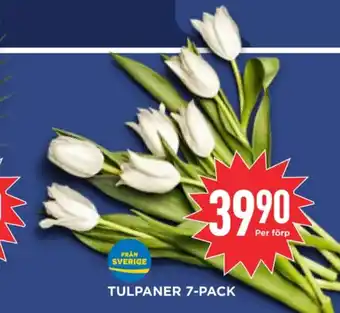 Willys Hemma Garant blommor erbjuda