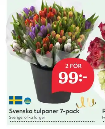 Hemköp Garant blommor erbjuda
