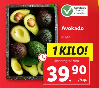 Lidl Avokado erbjuda