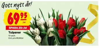 City Gross Tulpaner erbjuda