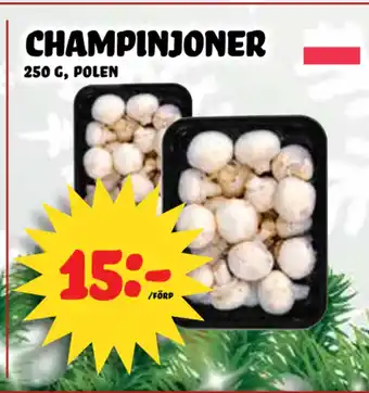 Nelins Champinjoner erbjuda