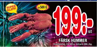 Färsk hummer