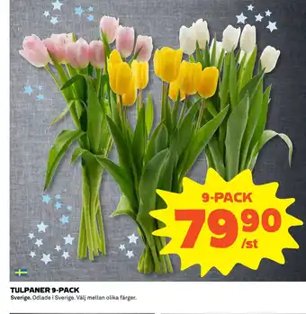 Coop Daglivs Tulpaner 9-pack erbjuda
