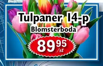T-jarlen Tulpaner 14-p Blomsterboda erbjuda