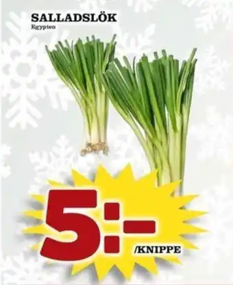 Matdax SALLADSLÖK erbjuda