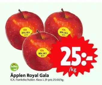 Äpplen Royal Gala