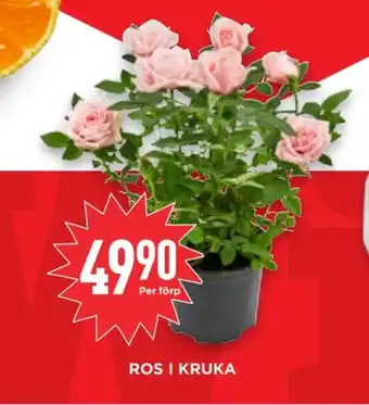 Willys Hemma Garant plantor erbjuda