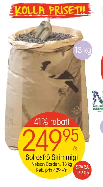 EKO Solrosfrö strimmigt erbjuda
