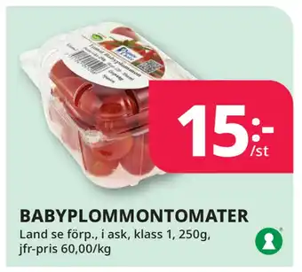 Tempo Babyplommontomater erbjuda