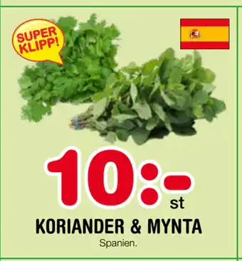 Nya Pulsen Koriander & mynta erbjuda