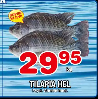 Nya Pulsen Tilapia hel erbjuda