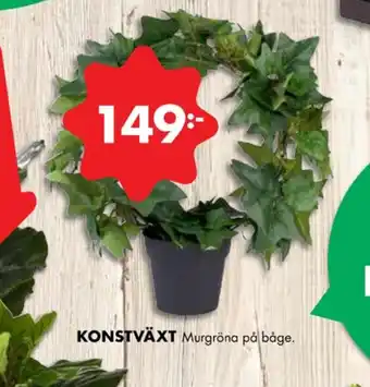 ÖoB Sodastream konstväxt erbjuda