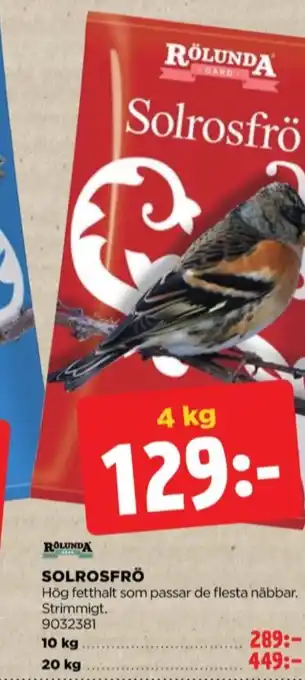 Rölunda solrosfrön