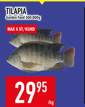 Matdax Tilapia erbjuda