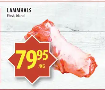 Matvärlden Tensta Lammhals erbjuda