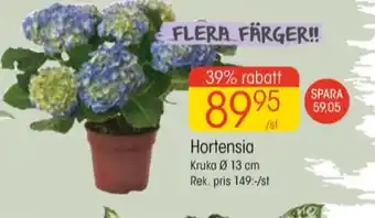 EKO Vanish plantor erbjuda